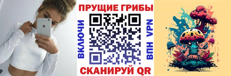 Псилоцибиновые грибы мицелий  что такое   Нахабино 