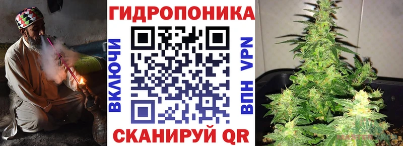 дарнет шоп  Нахабино  МАРИХУАНА тримм 